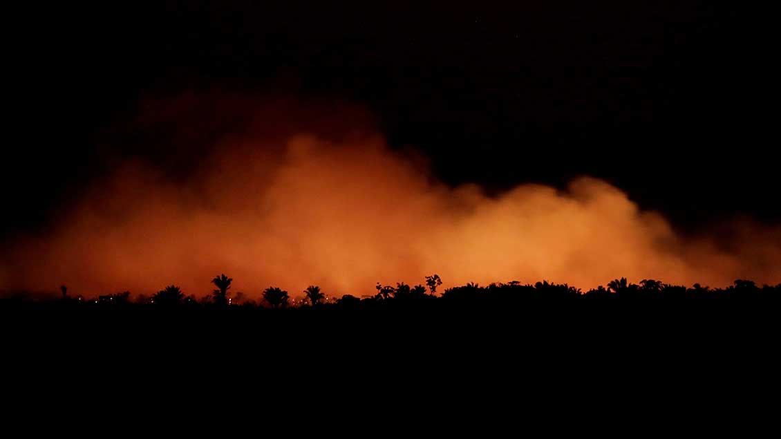 Feuer im Amazonas-Gebiet