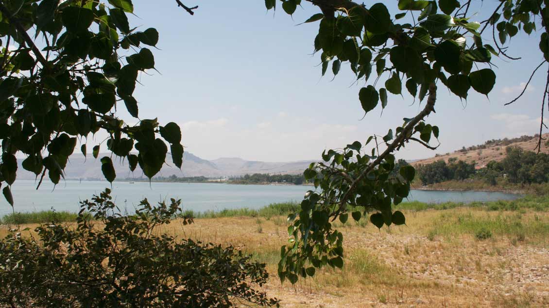 Blick auf den See Genezareth in Galiläa.