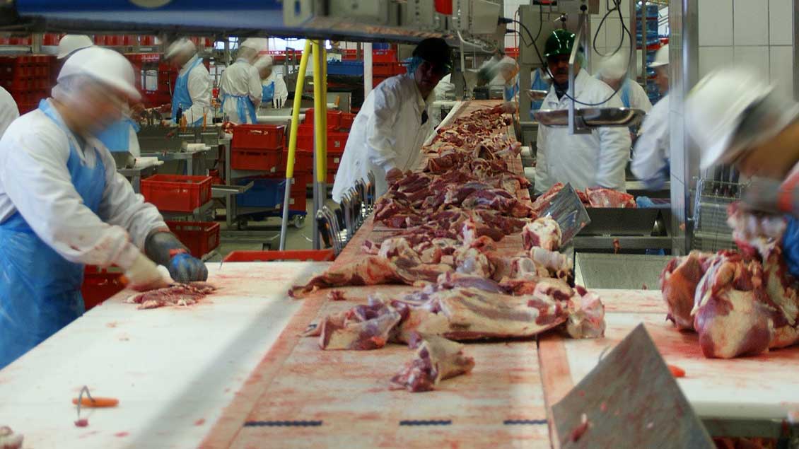 Arbeiter in einem Fleischzerlegebetrieb.