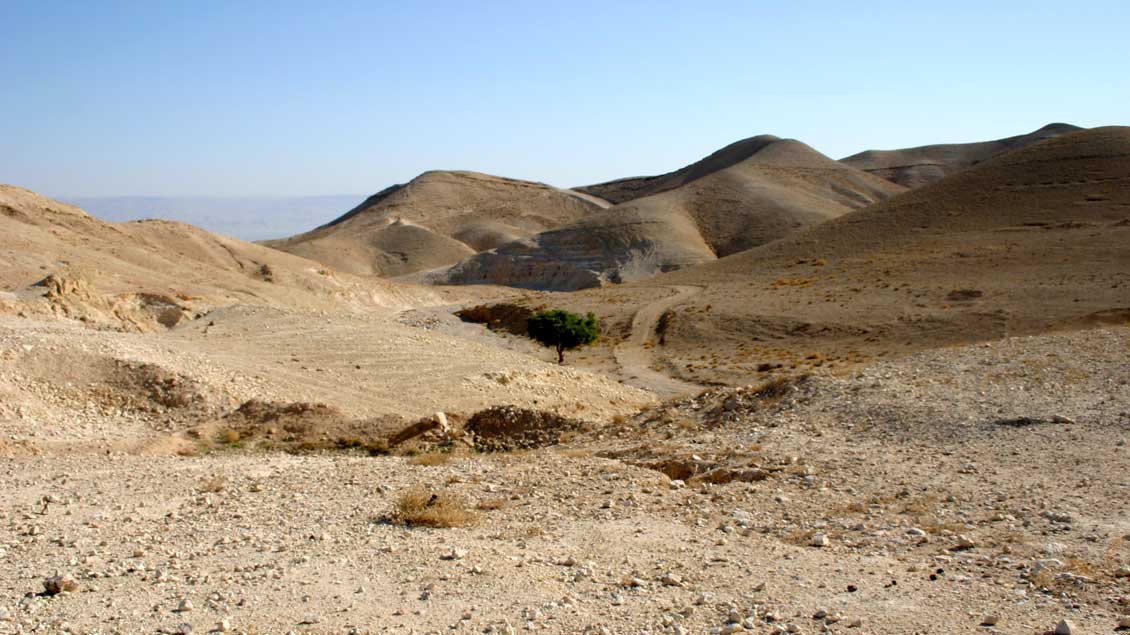 Wüste zwischen Jerusalem und Galiläa im Heiligen Land.