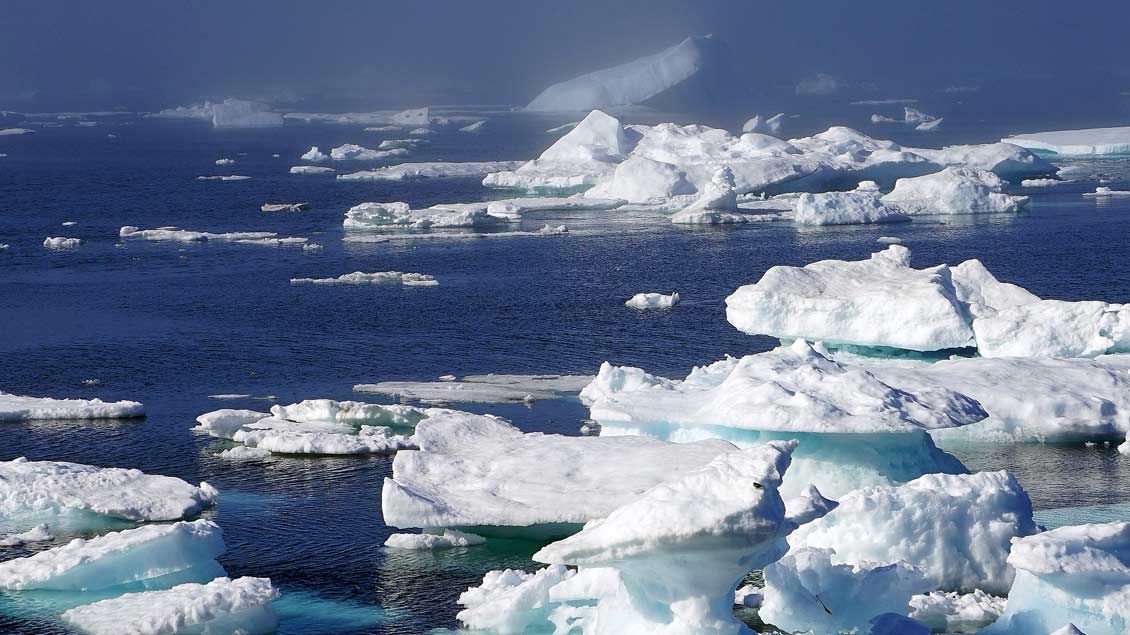Schmelzende Gletscher und Eisberge sind Zeugen des Klimawandels.