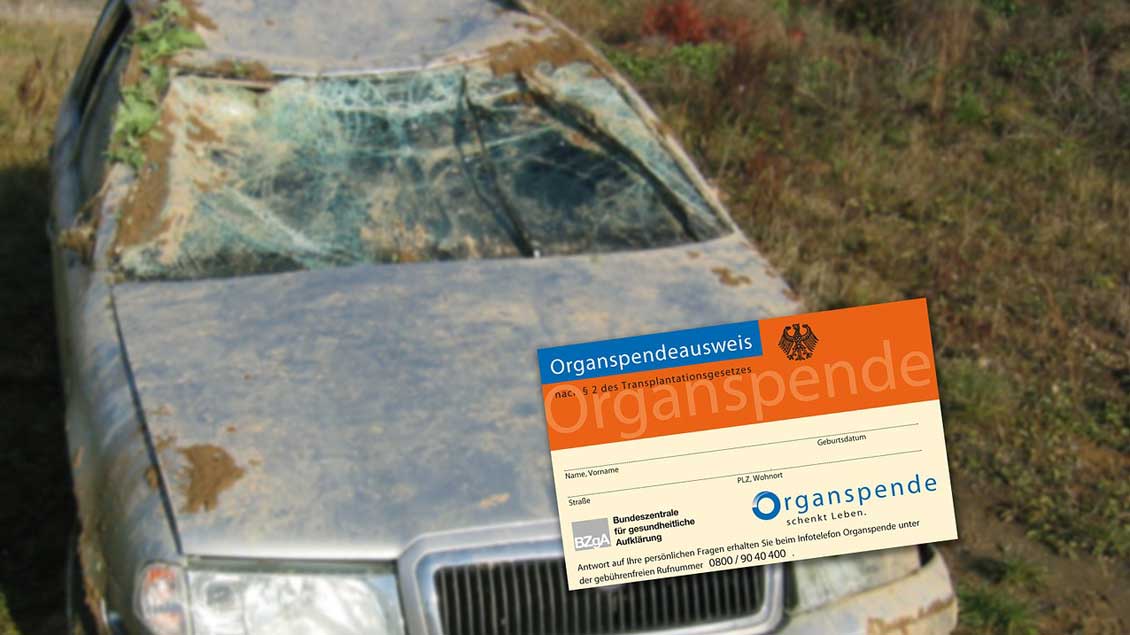 Organspendeausweis vor einem Unfallauto