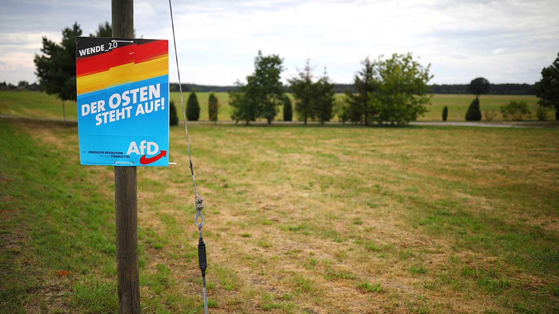 AfD-Plakat in der Landschaft