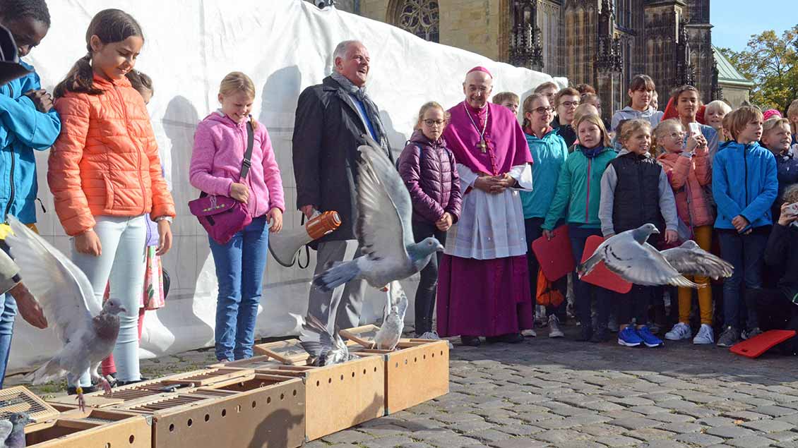 Friedenstauben steigen vor dem Dom in Münster auf