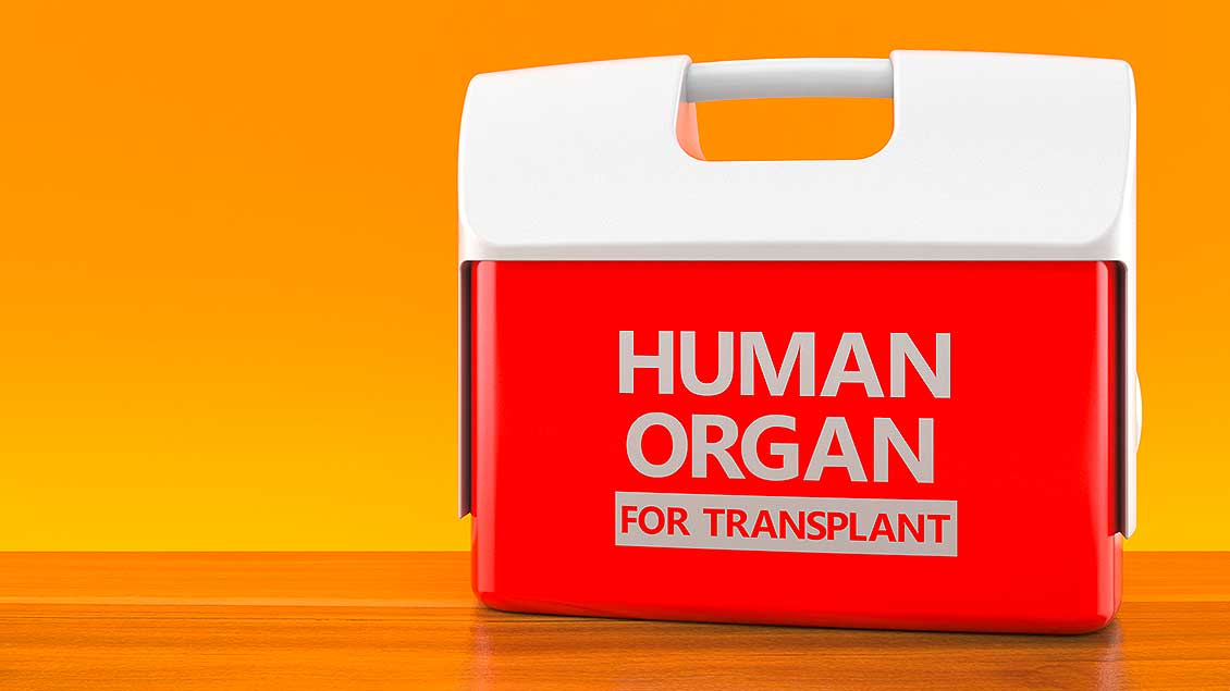 Organ-Box