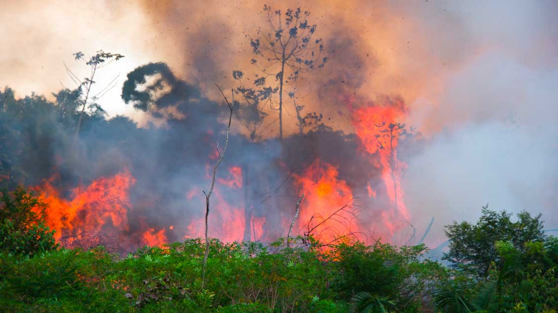 Waldbrände im Sommer 2019 im Amazonas-Gebiet
