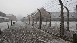 Stacheldrahtzaun in Auschwitz. | Foto: privat