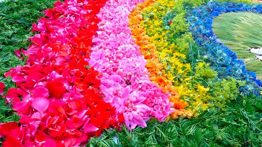 Eine farbenfrohe Blütenpracht soll es auch in diesem Jahr wieder geben. | Foto: privat
