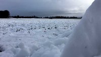 Schnee auf den Felder heute Morgen in der Bauerschaft Quantwick bei Ahaus-Wüllen.