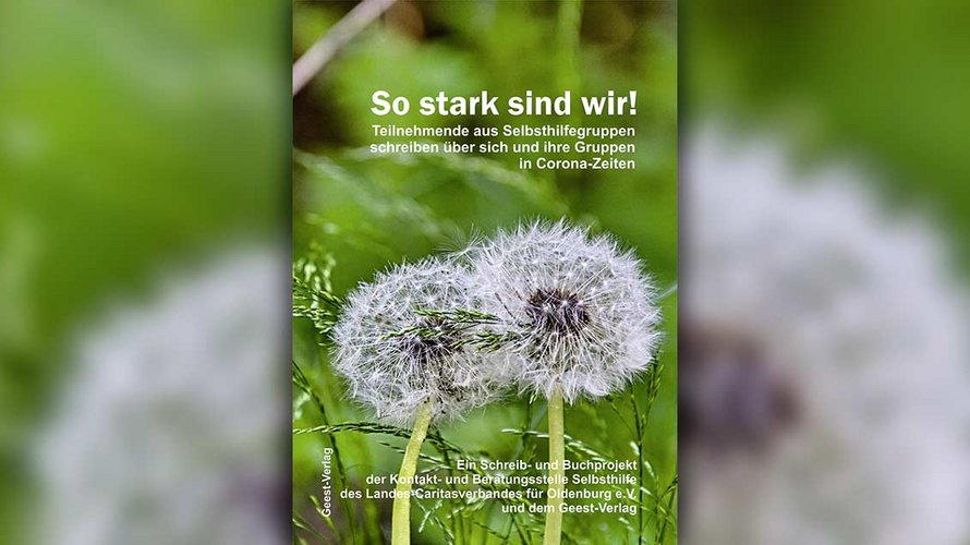 Das neue Buch der Kontakt- und Beratungsstelle Selbsthilfe des Landes-Caritasverbandes Oldenburg. | Foto: Geest-Verlag
