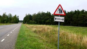 Endlose Straßen in Estland mit ungewöhnlichem Verkehrsschild. | Foto: Heike Honauer