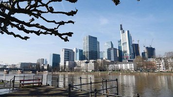 Blick über den Main auf die Skyline von Frankfurt