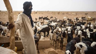 Ein Hirte in Mauretanien