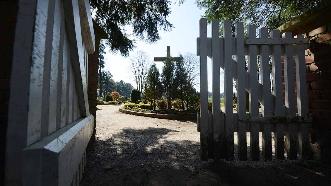 Geldfund auf einem Dinklager Friedhof Foto: Michael Bönte