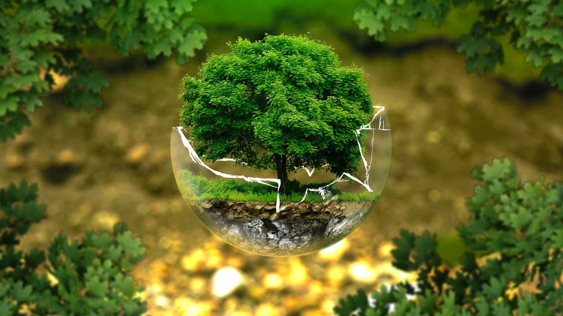 Klimaschutz. Foto: pixabay.com