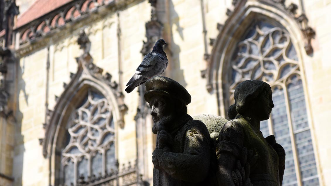 Heute sind die Tauben nicht nur an Münsters Lambertikirchplatz definitiv alle Friedenstauben. | Foto: Michael Bönte