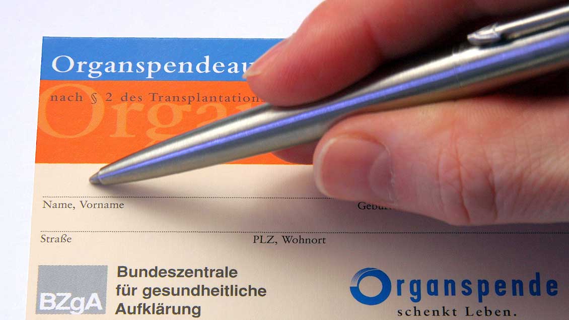 Organspendeausweis Foto: Thorben Wengert (pixelio.de)