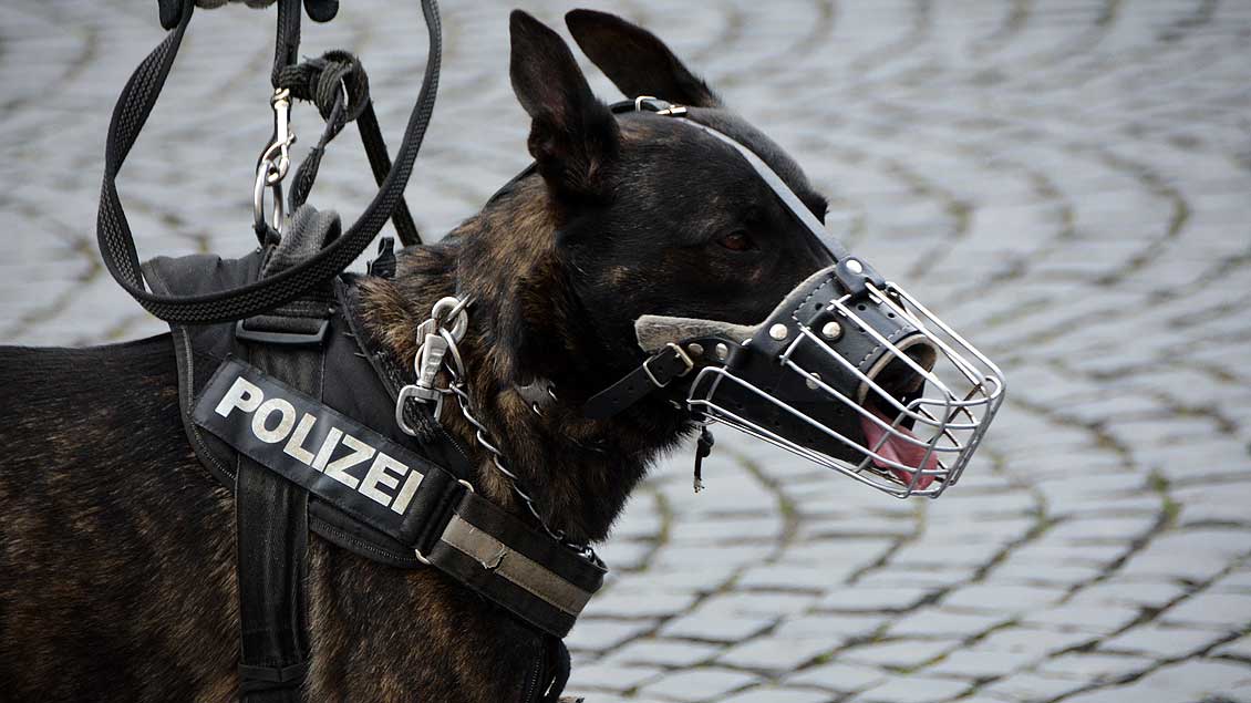 Ein Polizeihund
