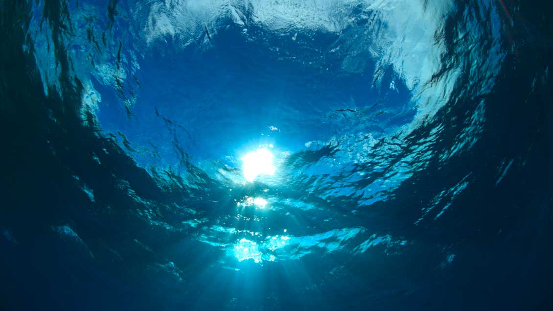 Unter Wasser Foto: aquapix (Shutterstock)