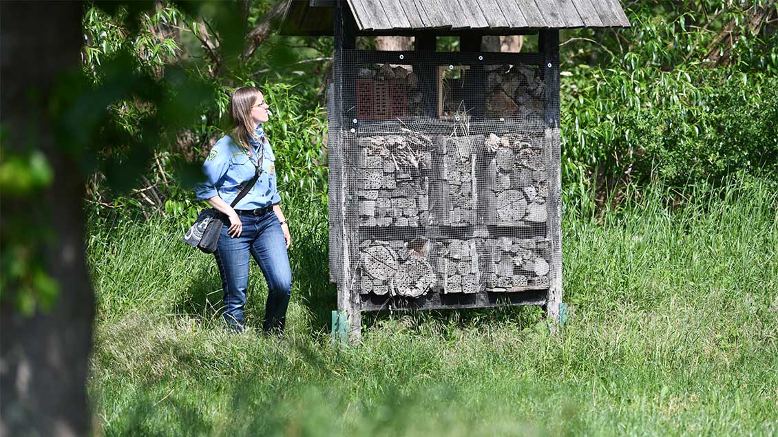 Gut bewohnte Behausung: Katharina Weppelmann begutachtet ein Insektenhotel neben einer Wildblumenwiese. |Foto: Michael Bönte