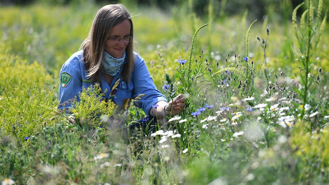 Erinnerung zum Anfassen: Katharina Weppelmann in der Wildblumenwiese, die von den Pfadfinderinnen gepflanzt wurde. Foto: Michael Bönte