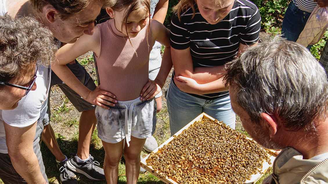 Pfingsten am Bienenlehrpfad nahe der Schöpfung: Aktion „Geist bewegt Leben“ in Delmenhorst. | Foto: Tobias Denne