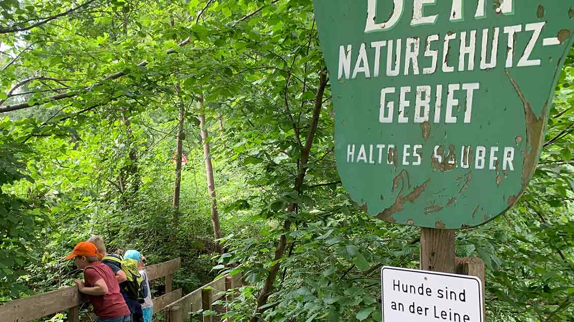 Seit 1930 ist das Gebiet als Naturschutzgebiet ausgewiesen.| Fotos: Marie-Theres Himstedt