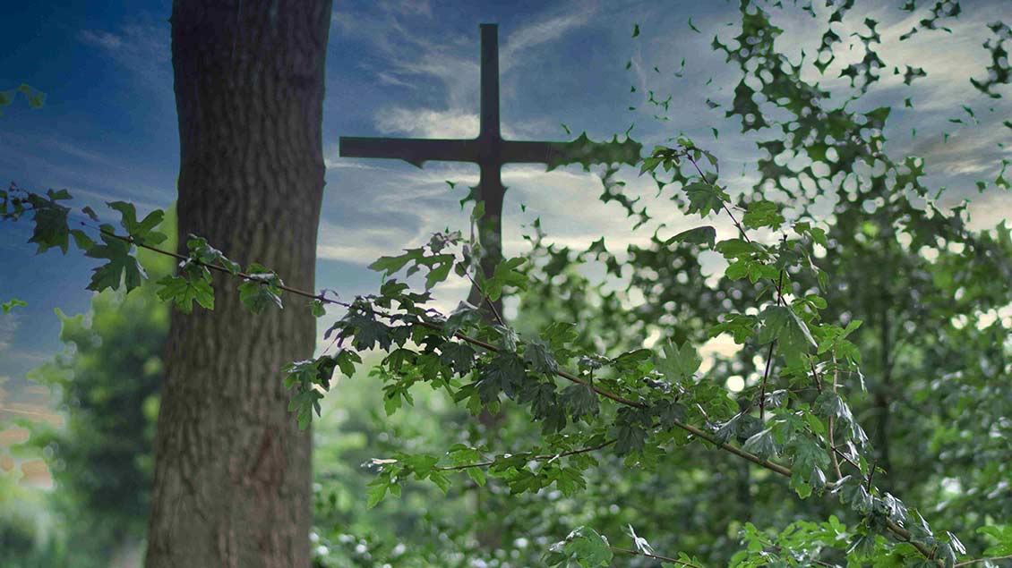 Durch die Bäume im Bestattungswald ist das Friedhofskreuz zu sehen. | Foto: Thomas Gehlenborg (Pfarrgemeinde Cloppenburg)