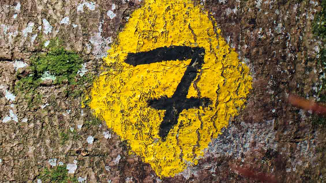 Die Zahl sieben auf einer Mauer Foto: pixabay