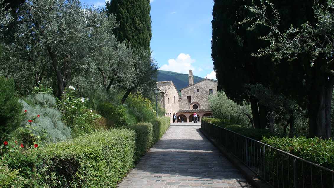 Abseits der Stadt Assisi führt der Weg durch Säulenzypressen zum Kloster San Damiano. | Foto: Markus Nolte