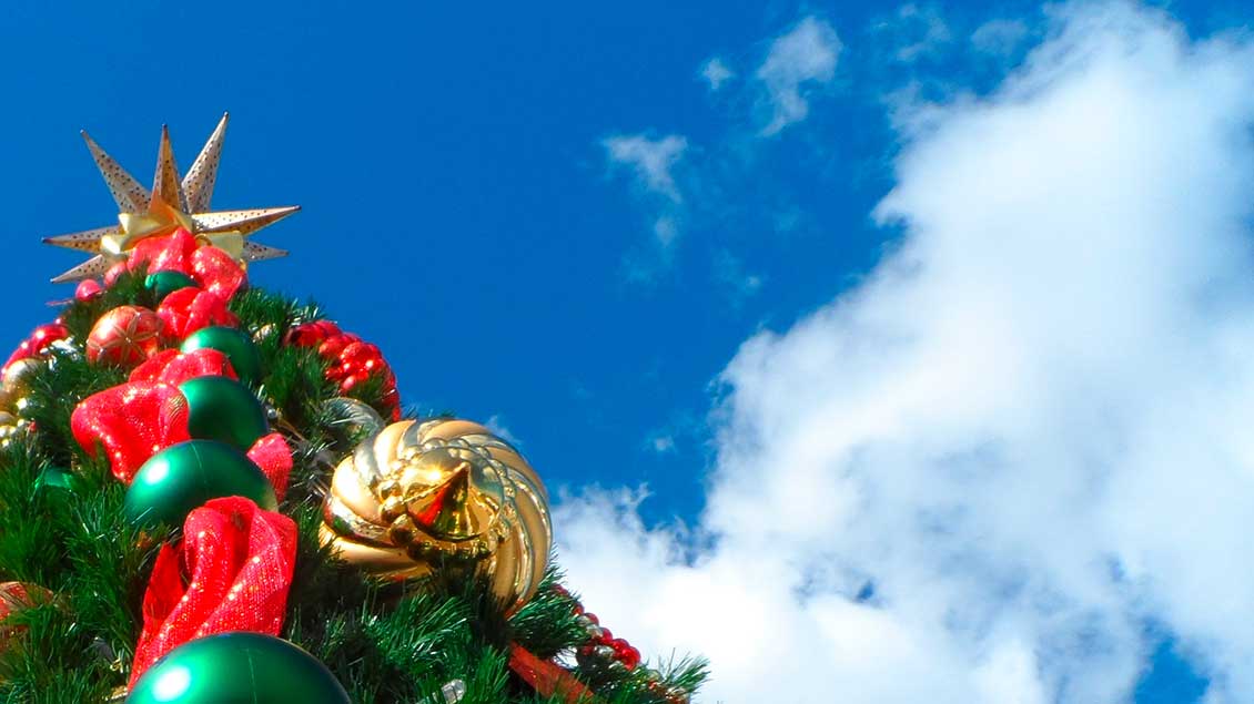 Weihnachtsbaum vor blauem Himmel