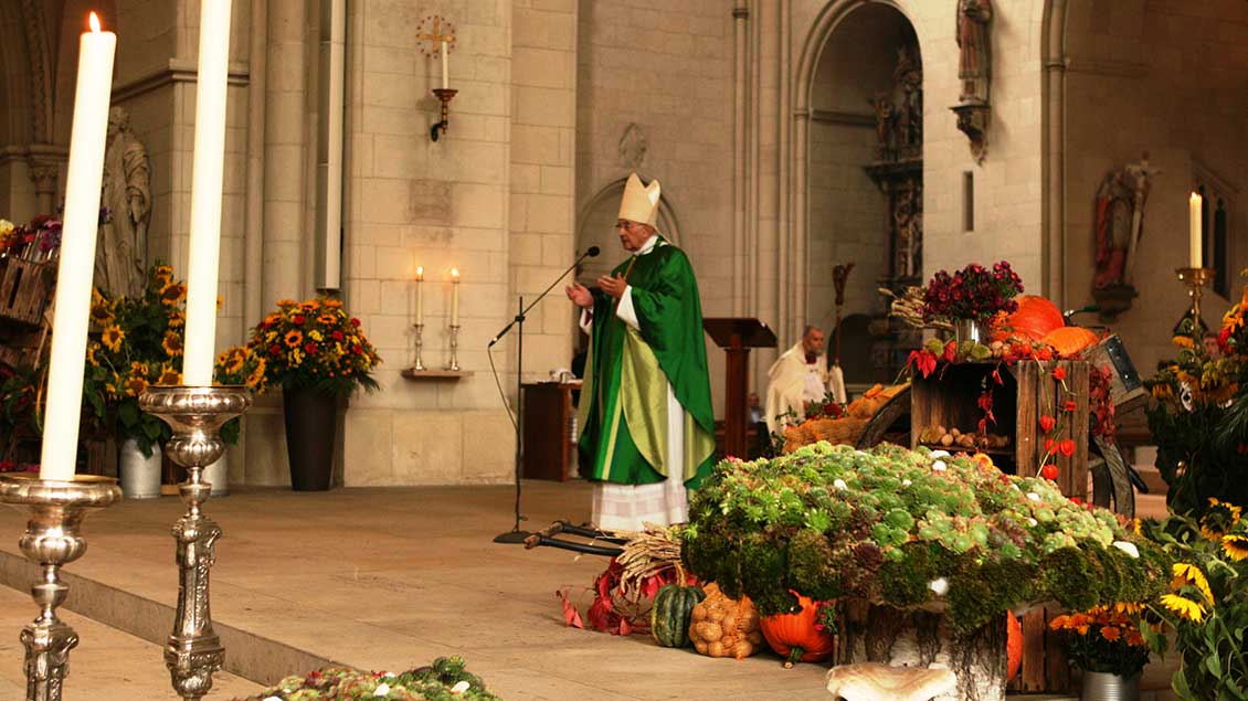 Bischof Genn beim Erntedankgottesdienst im Dom. Foto: Heike Hänscheid (pbm)