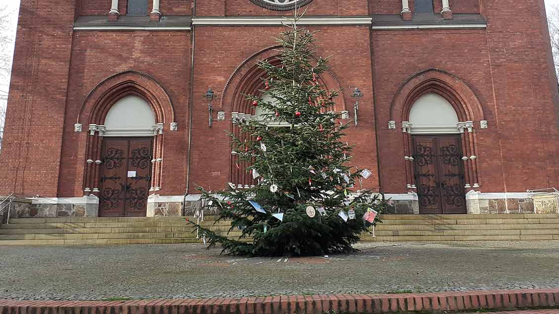 Der Tauschbaum vor der Goldenstedter Kirche. | Foto: privat