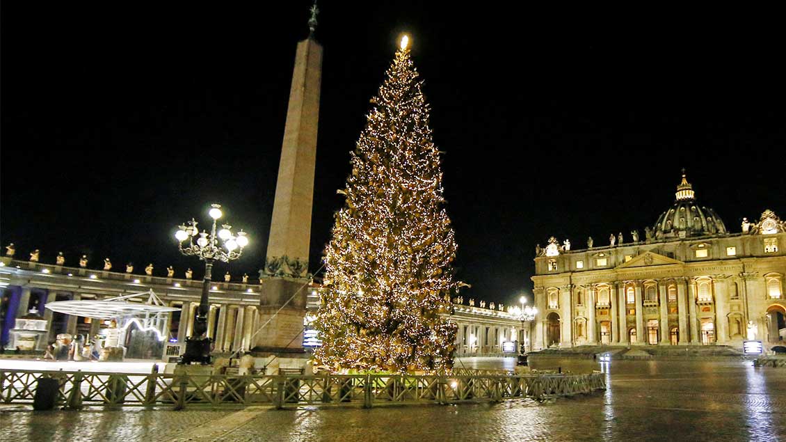 Vor dem Petersdom leuchtet in der Dunkelheit ein geschmückter Weihnachtsbaum. Foto: Reuters