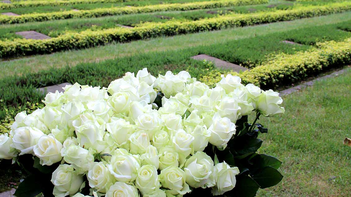 Weiße Rosen für die 174 Gräber sowjetischer Kriegsgefangener und Zwangsarbeiter auf dem Friedhof in Herten-Langenbochum. | Foto: Johannes Bernard