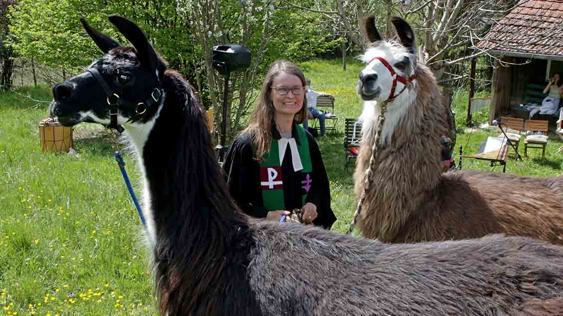 Pfarrerin Ulrike Schaich ist mit zwei Lamas zu sehen. Foto: Gerhard Baeuerle (epd)