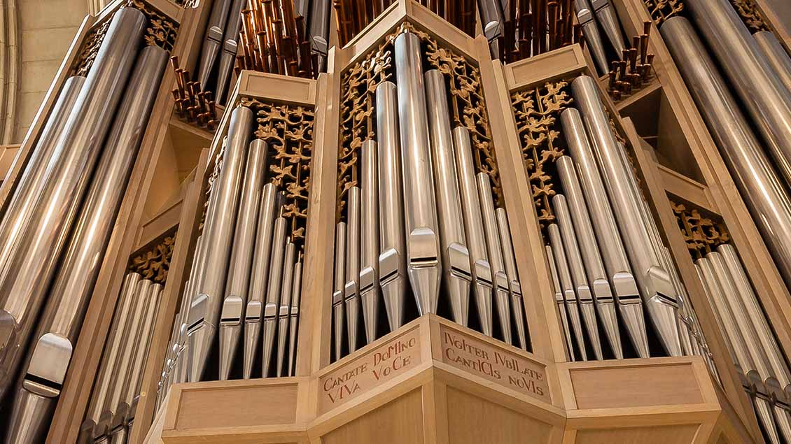 Schwalbennest-Orgel in St. Lamberti Münster Foto: Christof Haverkamp