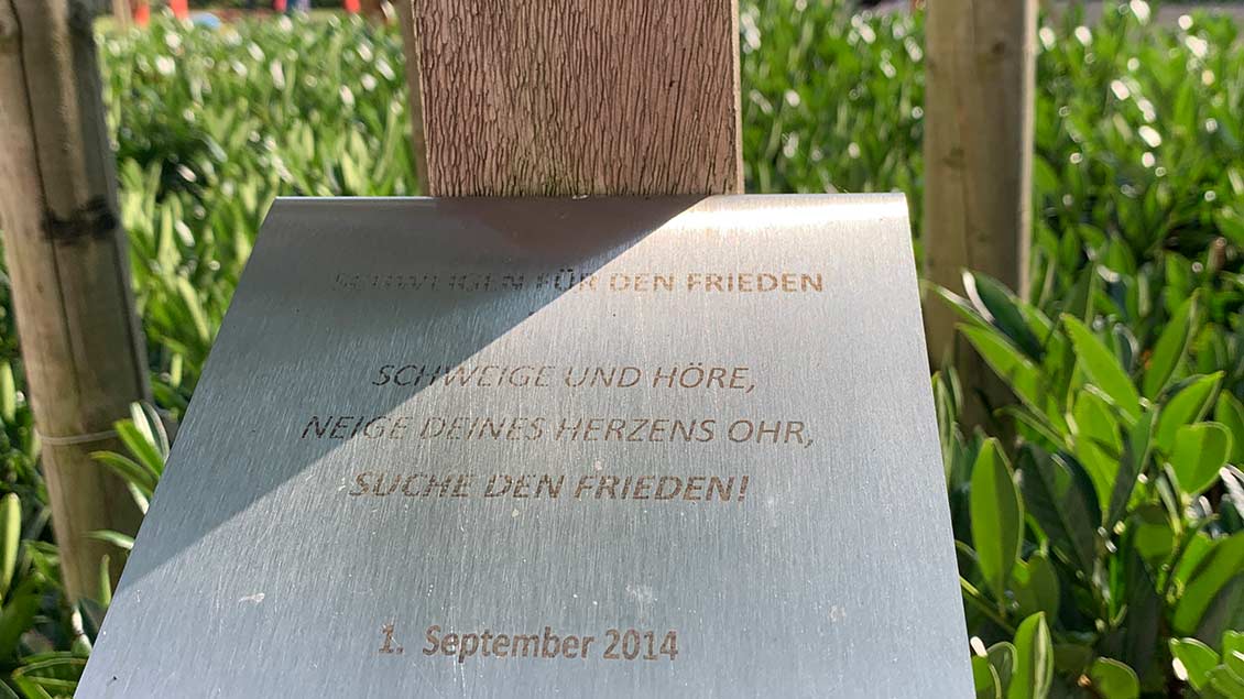 Die muslimischen Gemeinden hatten 2014 die Idee einen Friedensbaum vor der katholischen Familienbildungsstätte in Ibbenbüren zu pflanzen. | Foto: Marie-Theres Himstedt
