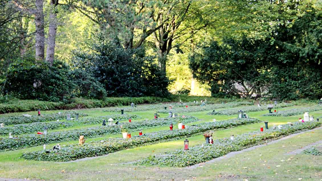 Niemand soll namenlos bestattet werden: Das Gräberfeld zeigt den Ort für die so genannten ordnungsbehördlichen Bestattungen. Jedes Grab hat einen Grabstein.