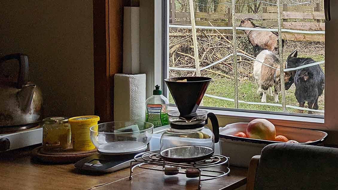 Von ihrem Küchentisch aus hat Maria Anna Leenen einen Blick auf ihre Ziegen. | Foto: Michael Rottmann