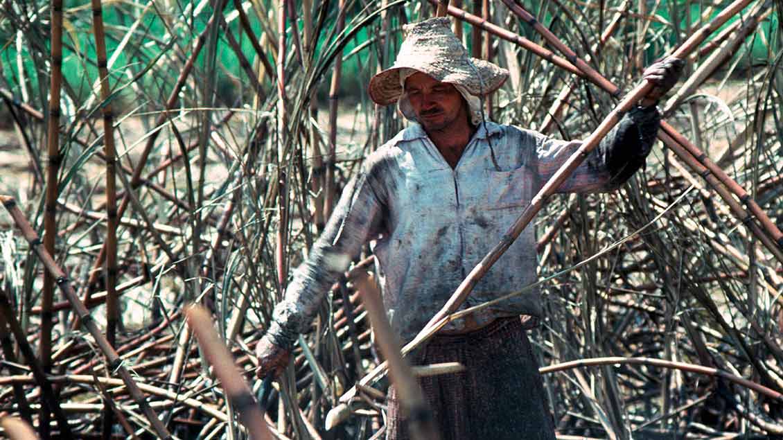 Brasilianischer Bauer bei der Zuckerrohrernte.