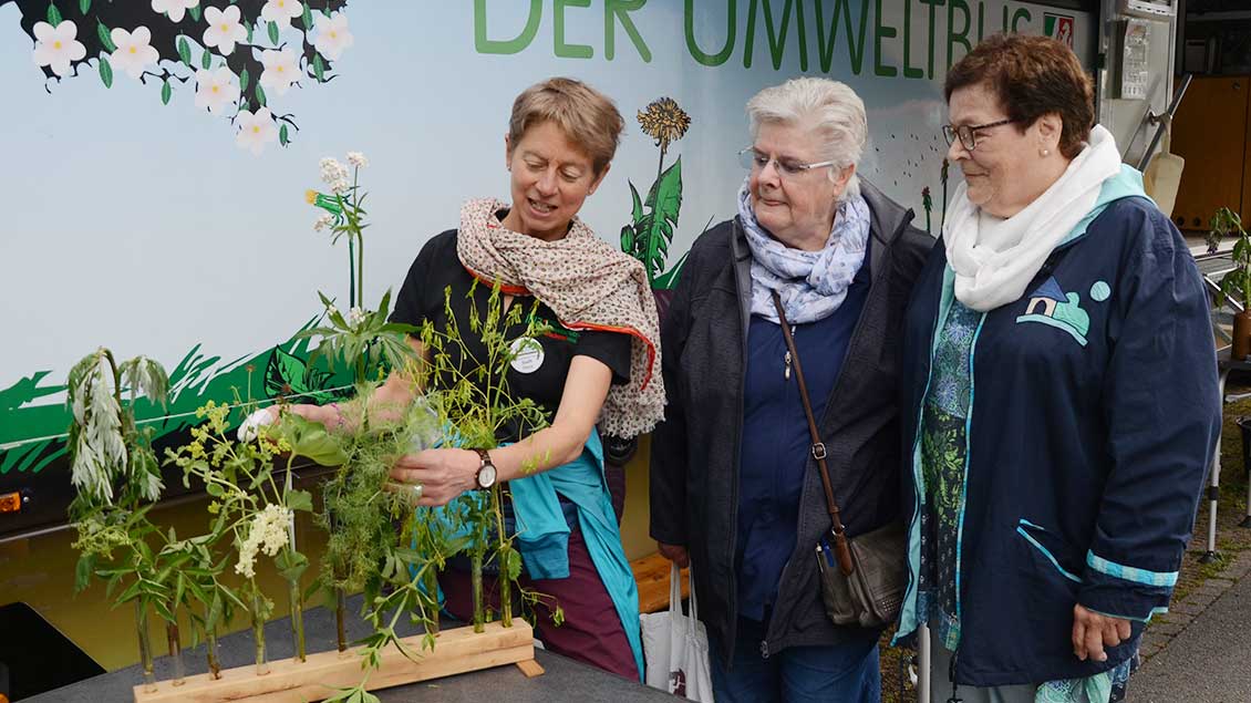 Steffi Horn erläutert den beiden Frauen Petra Hahn-Heuter und Beate Raab das Prinzip des Umweltbusses „Lumbricus“. | Foto: Jürgen Kappel