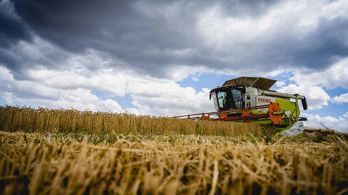 Getreideernte 2022 Foto: Jacob Schröter (imago)