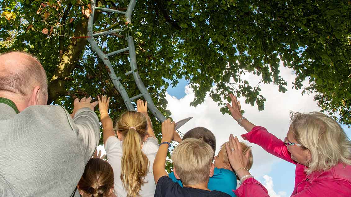 Die Himmelsleiter ist ein Höhepunkt des Kinder-Pilgerwegs in Telgte Foto: Ann-Christin Ladermann (pbm)