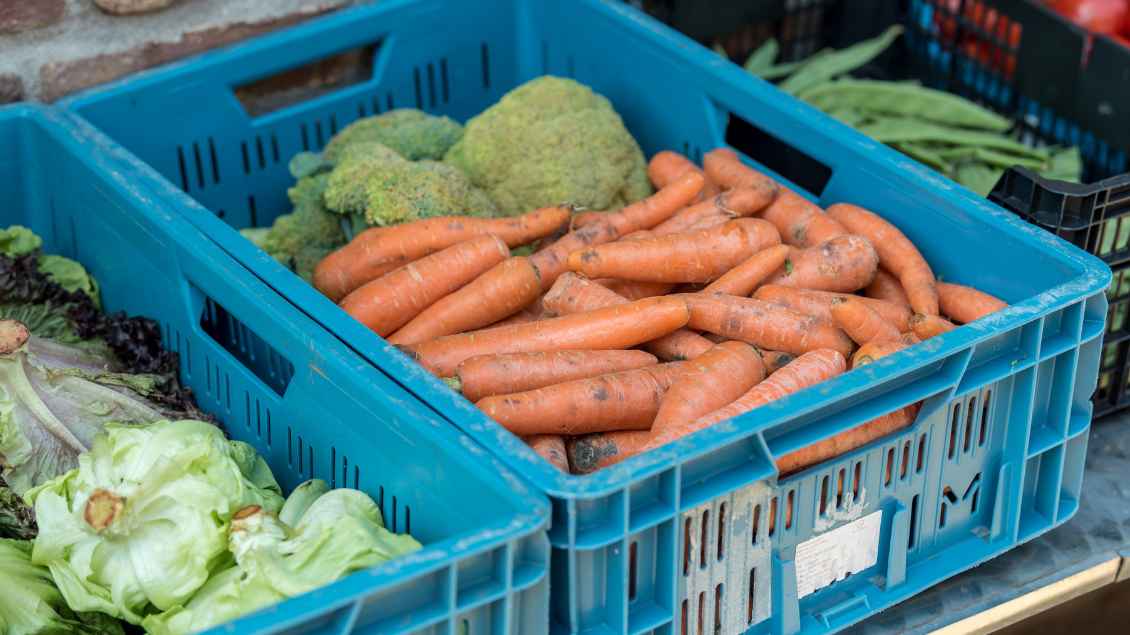 Brokkoli, Möhren, Schoten und Salat in grünen Behältern. Symbolfoto: Funke Foto Services (Imago)