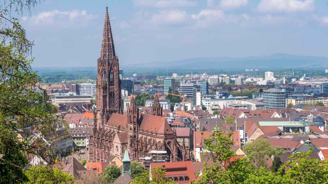Blick auf das Freiburger Münster Foto: imagebroker (imago)
