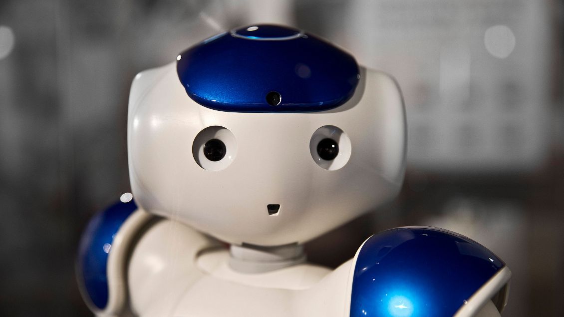 Ein blau-weißer Roboter schaut in die Kamera.