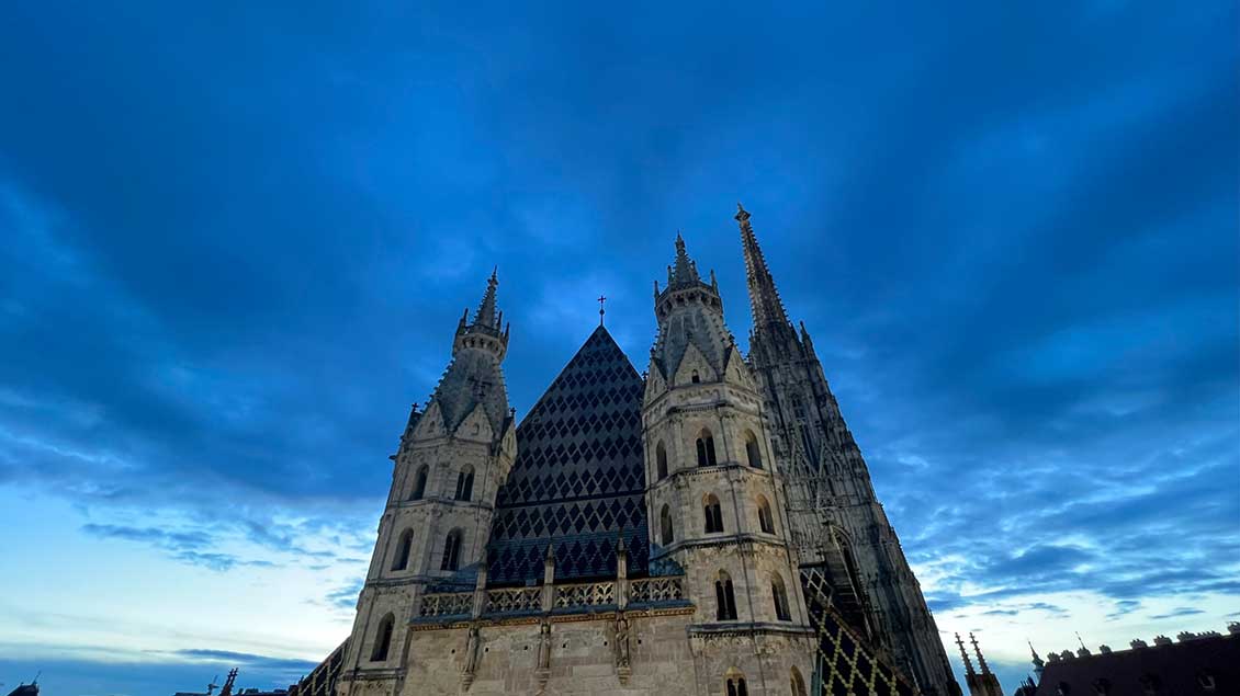 Der Stephansdom in Wien bei Dunkelheit.