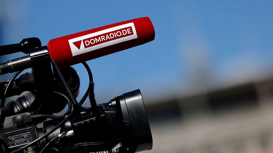 Mikrofon mit Logo des Domradios