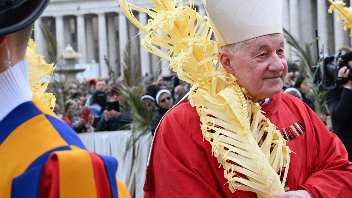 Kardinal Ouellet am Palmsonntag